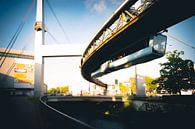 De hangbaan van Wuppertal van Alexander Aboud thumbnail