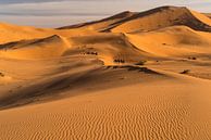 Caravan in de woestijn bij Merzouga, Marokko van Peter Schickert thumbnail