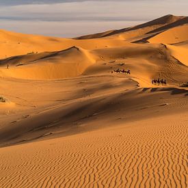 Caravan in de woestijn bij Merzouga, Marokko van Peter Schickert