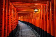 Fushimi Inari schrijn in Kyoto van Michael Abid thumbnail