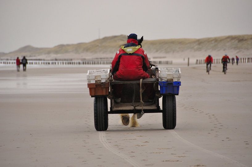 Standjutten par Fred van den Brink