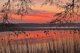 Lever du soleil au lac Fährsee près de Templin, dans l'Uckermark, dans le Brandebourg ; Allemagne