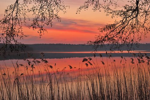 Zonsopgang aan het Fährsee bij Templin, Uckermark, Brandenburg; Duitsland