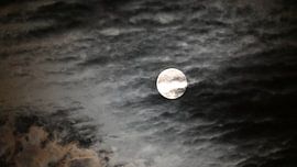 Moon through Cloud Veil by Bambi Lu