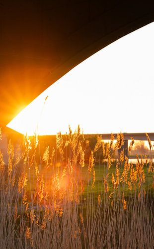 Coucher de soleil près du pont de l'IJssel à Zwolle, aux Pays-Bas