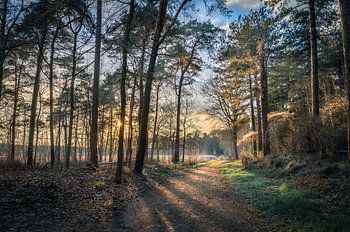 Coucher de soleil de Breda Mastbos