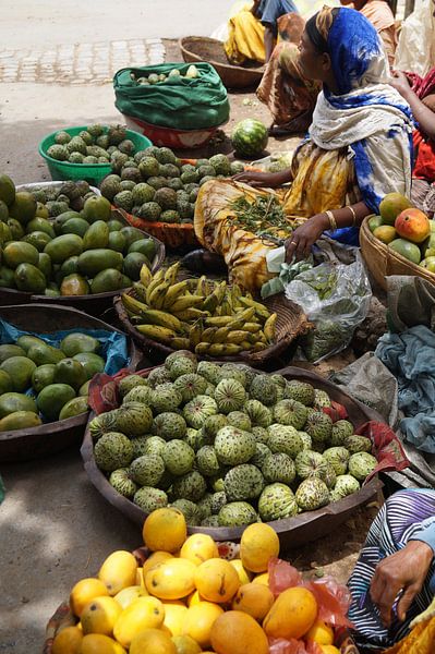 de markt van Harar van Colette Vester