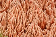 Sandstein Formationen im Tsingy Rouge Park auf Madagaskar von Reiner Conrad Miniaturansicht