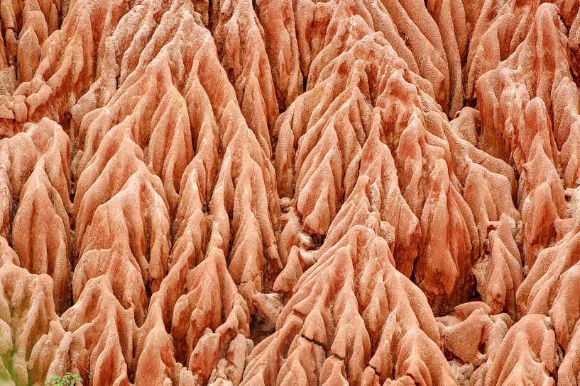 Sandstein Formationen im Tsingy Rouge Park auf Madagaskar von Reiner Conrad