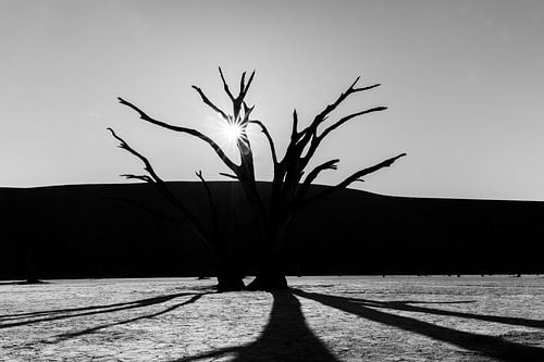 L'art dans la nature