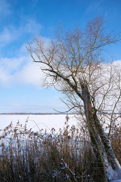 Meer op een winterse dag van Heiko Kueverling