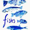 Fishes No 02 von Treechild