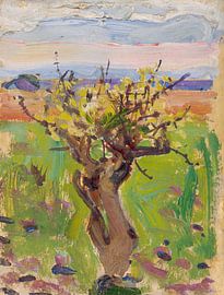 Zwergbaum in der Wüste, 1909 - 1910, Akseli Gallen-Kallela