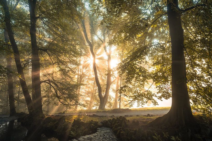 Autumn morning in Kassel by Catrin Grabowski