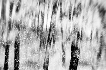 Bomen in de sneeuw in zwart-wit van Imaginative
