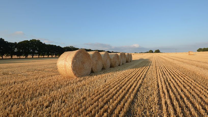 Strohballen bei Nadelitz, Erntezeit auf Rügen von GH Foto & Artdesign