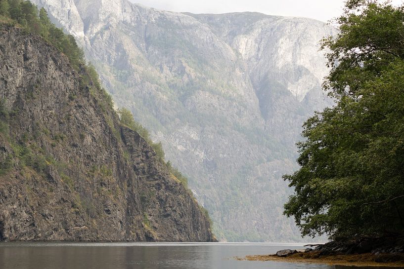 Nærøyfjord, Norwegen von Marcel Jagt