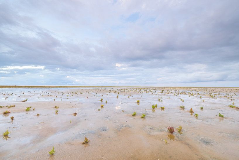 Ameland (Netherlands) by Marcel Kerdijk