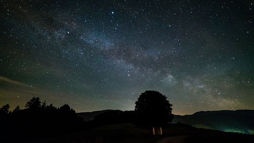 Allemagne, Forêt Noire paysage d'arbres sous la voie lactée galaxie étoiles panorama