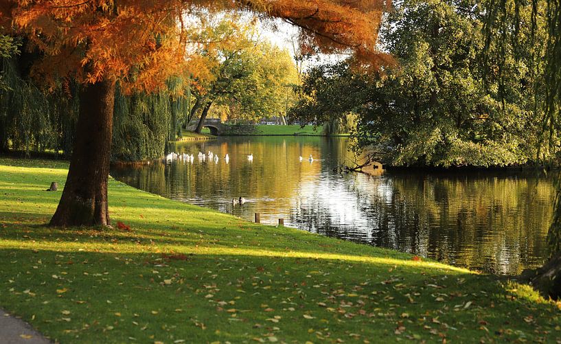 Park von Truus Koster