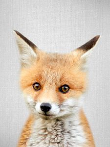Baby Fox
