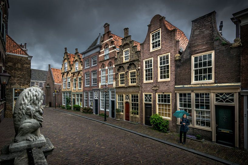 Het oude Dordrecht van Danny den Breejen