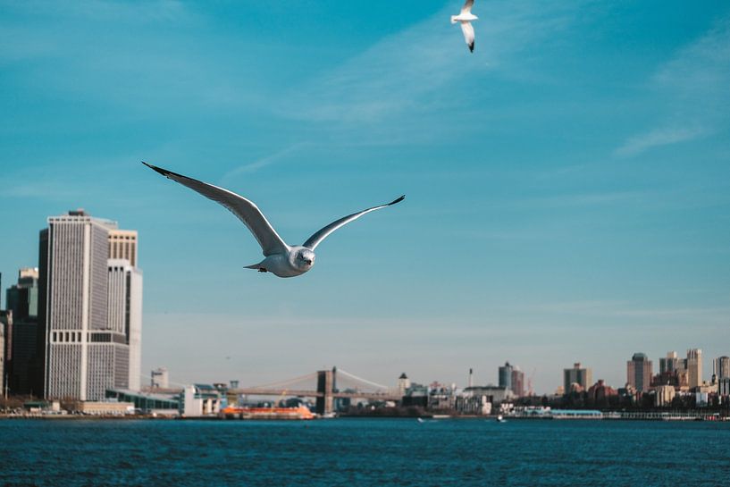 New York City by Hello Pompoyo