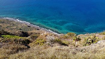 Curving Madeira coast with turquoise blue water