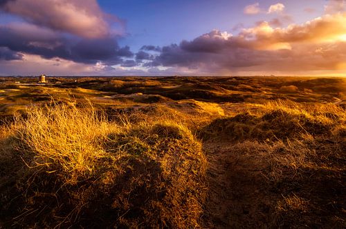 In the Dutch Mountains I