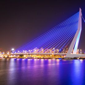 Erasmus-Brücke von Frank Bison