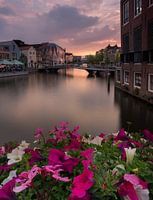 Like Venice