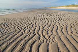 Sandrippen im Gezeitenwind – Geometrie der Natur – Fotografie von Nordlicht Atelier