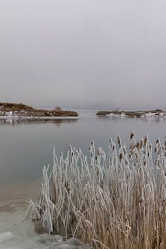 Winterstilte aan de Kochelsee