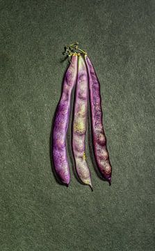 wild bean
