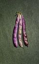 wild bean by artpictures.de thumbnail