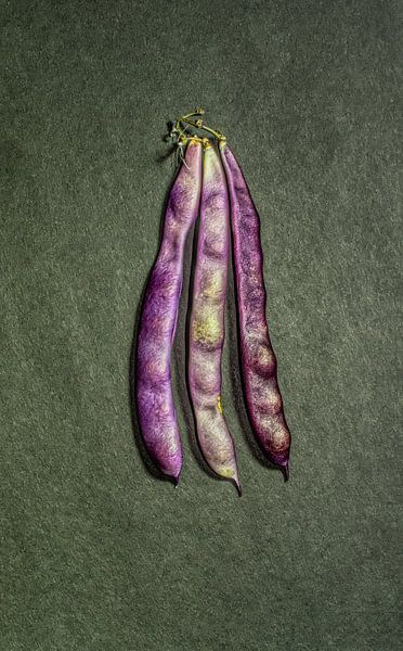 wild bean by artpictures.de
