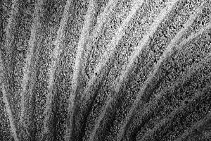Sandlines.