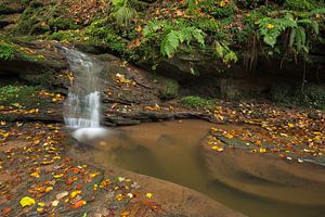 Wasserfall Butzerbachtal im Herbst in der Eifel, 