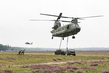 Chinook en action sur André Dorst