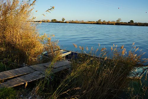 The path to a slower pace of life
