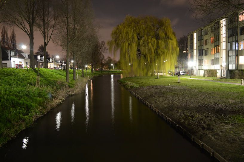 Nature in Dordrecht by Daphne Haaijer