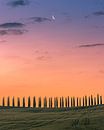 Cypress trees during sunrise by Henk Meijer Photography thumbnail