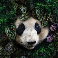 Un panda curieux