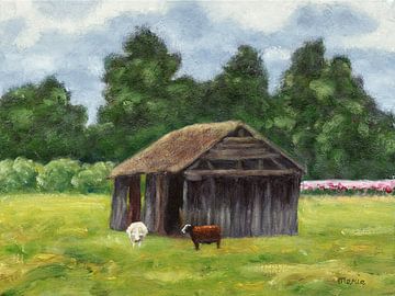 Sheep Shed by Maria Meester