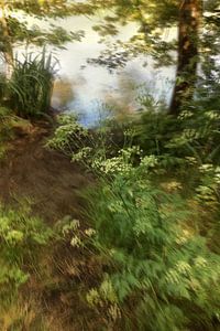 Fluitekruid in een bosje aan een plas (schelphoek). van Mario Dekker-Janssen