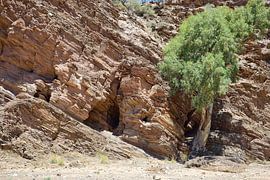 Rock wallabies could be hiding in there by Frank's Awesome Travels
