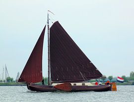 rood wit blauw by Koos Iperen