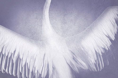 Hemelse Vlucht Vleugels in Mystiek Paars