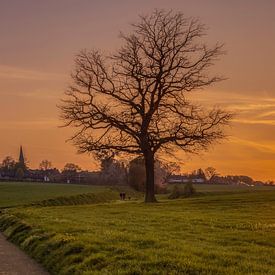 Sonnenuntergang in Südlimburg von John Kreukniet