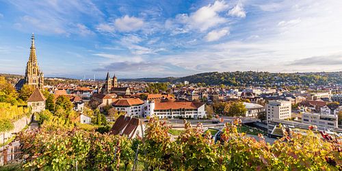 Skyline Esslingen on the Neckar by Werner Dieterich